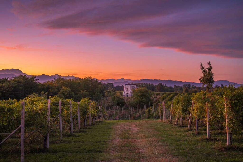il-monferrato-per-il-tuo-prossimo-evento