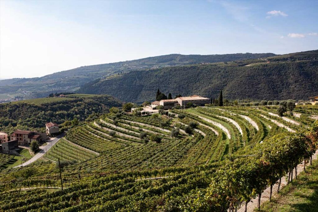 Vini-Verona