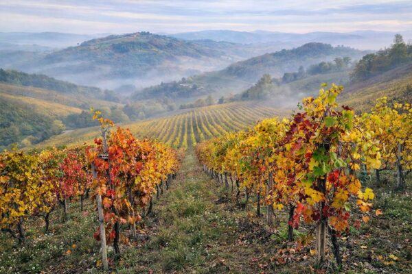 I-vini-nell'oltrepo-Pavese-1 I-vini-nell'oltrepo-Pavese-1